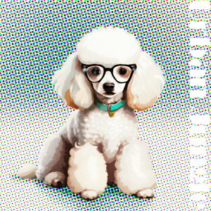 Kl v[h Jtwi NbVJo[ 45×45cm Aj}   NbV{̕t ` t@