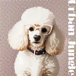 Kl v[h JtȔwi NbVJo[ 45×45cm Aj}   NbV{̕t ` t@