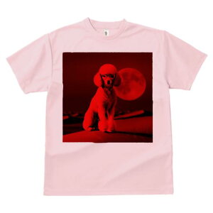 TVc Y LbY t@  t  vg JWA 킢 lԗp tBbglX _X Kl v[h   A[g 