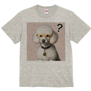 TVc Y LbY t@  t  vg JWA 킢 lԗp tBbglX _X Kl v[h NGX`}[N