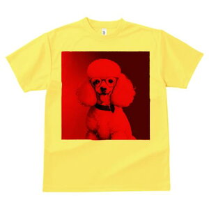 TVc Y LbY t@  t  vg JWA 킢 lԗp tBbglX _X Kl v[h