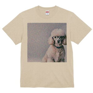 TVc Y LbY t@  t  vg JWA 킢 lԗp tBbglX _X Kl v[h wi