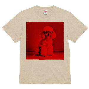 TVc Y LbY t@  t  vg JWA 킢 lԗp tBbglX _X Kl v[h  