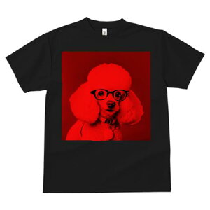 TVc Y LbY t@  t  vg JWA 킢 lԗp tBbglX _X Kl v[h ԐF t@bV 