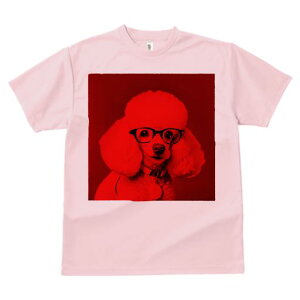 TVc Y LbY t@  t  vg JWA 킢 lԗp tBbglX _X Kl v[h ԐF t@bV 