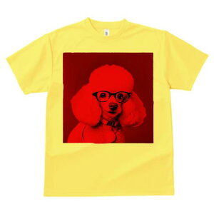 TVc Y LbY t@  t  vg JWA 킢 lԗp tBbglX _X Kl v[h ԐF t@bV 