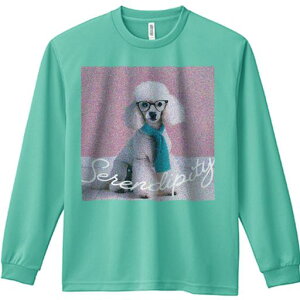 TVc lԗp Y Ht vg W[ AEghA JWA 킢 t@ Kl v[h lN^C