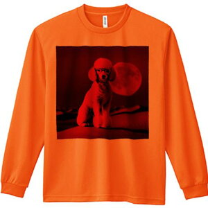 TVc lԗp Y Ht vg W[ AEghA JWA 킢 t@ Kl v[h   A[g 