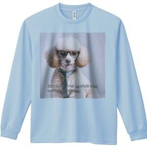 TVc lԗp Y Ht vg W[ AEghA JWA 킢 t@ Kl v[h lN^C