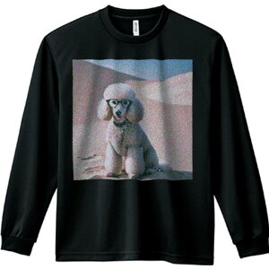 TVc lԗp Y Ht vg W[ AEghA JWA 킢 t@ Kl v[h 