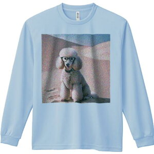 TVc lԗp Y Ht vg W[ AEghA JWA 킢 t@ Kl v[h 