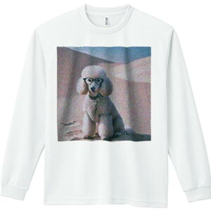 TVc lԗp Y Ht vg W[ AEghA JWA 킢 t@ Kl v[h 