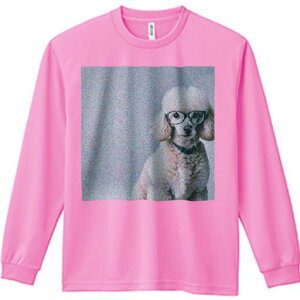 TVc lԗp Y Ht vg W[ AEghA JWA 킢 t@ Kl v[h wi