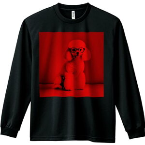 TVc lԗp Y Ht vg W[ AEghA JWA 킢 t@ Kl v[h  