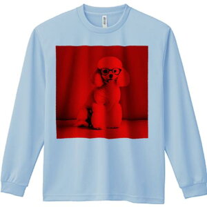 TVc lԗp Y Ht vg W[ AEghA JWA 킢 t@ Kl v[h  