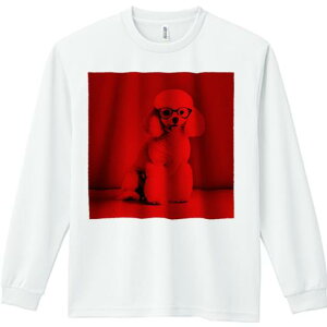 TVc lԗp Y Ht vg W[ AEghA JWA 킢 t@ Kl v[h  