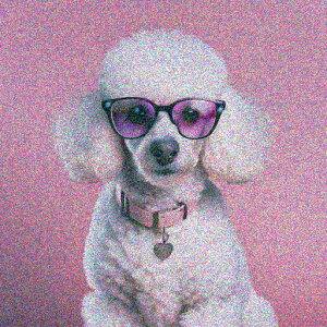 Kl v[h sN̔wi n[g̎ NbVJo[ 45×45cm Aj}   NbV{̕t ` t@