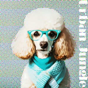 Kl v[h Z[^[ A[oWO NbVJo[ 45×45cm Aj}   NbV{̕t ` t@