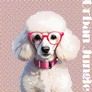 Kl v[h J[ wip^[ NbVJo[ 45×45cm Aj}   NbV{̕t ` t@