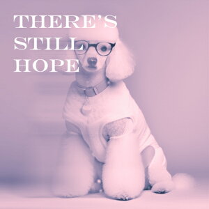 Kl v[h Z[^[ NbVJo[ 45×45cm Aj}   NbV{̕t ` t@