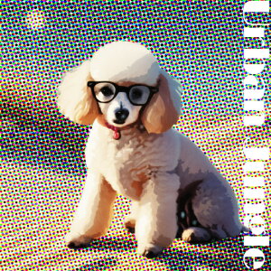 Kl v[h NbVJo[ 45×45cm Aj}   NbV{̕t ` t@