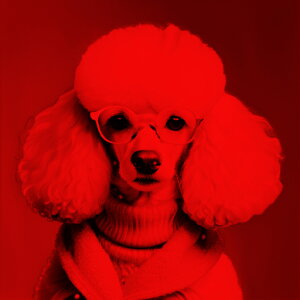 ዾ v[h }t[ Z[^[ NbVJo[ 45×45cm Aj}   NbV{̕t ` t@