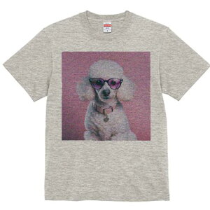 TVc Y LbY t@  t  vg JWA 킢 lԗp tBbglX _X Kl v[h sN̔wi n[g̎