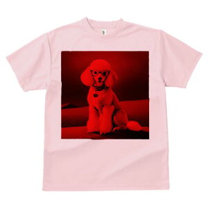 TVc Y LbY t@  t  vg JWA 킢 lԗp tBbglX _X Kl v[h n[g̃y_g Ԃwi