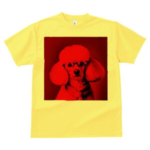 TVc Y LbY t@  t  vg JWA 킢 lԗp tBbglX _X Kl v[h XJ[t