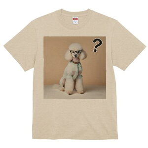 TVc Y LbY t@  t  vg JWA 킢 lԗp tBbglX _X Kl v[h Z[^[ NGX`}[N