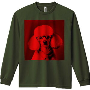 TVc lԗp Y Ht vg W[ AEghA JWA 킢 t@ Kl v[h XJ[t