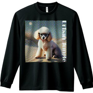 TVc lԗp Y Ht vg W[ AEghA JWA 킢 t@ Kl v[h