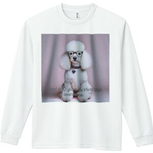 TVc lԗp Y Ht vg W[ AEghA JWA 킢 t@ Kl v[h  