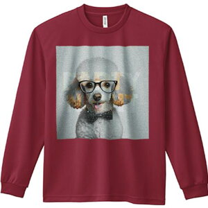 TVc lԗp Y Ht vg W[ AEghA JWA 킢 t@ ዾ v[h lN^C p[eB