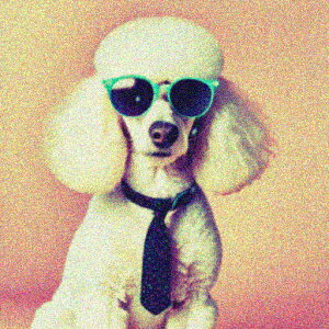 TOX v[h lN^C sN̔wi NbVJo[ 45×45cm Aj}   NbV{̕t ` t@