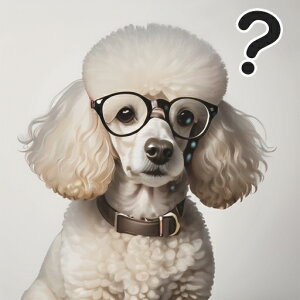 Kl v[h NGX`}[N NbVJo[ 45×45cm Aj}   NbV{̕t ` t@