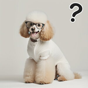 Kl v[h Z[^[ F ͂Ăȃ}[N NbVJo[ 45×45cm Aj}   NbV{̕t ` t@