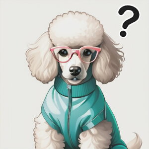 Kl v[h WPbg NGX`}[N NbVJo[ 45×45cm Aj}   NbV{̕t ` t@