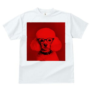 TVc Y LbY t@  t  vg JWA 킢 lԗp tBbglX _X Kl v[h  N[