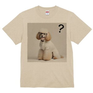 TVc Y LbY t@  t  vg JWA 킢 lԗp tBbglX _X Kl v[h Z[^[ F ͂Ăȃ}[N