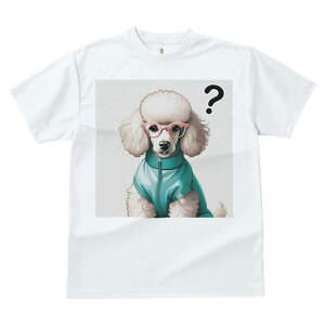 TVc Y LbY t@  t  vg JWA 킢 lԗp tBbglX _X Kl v[h WPbg NGX`}[N