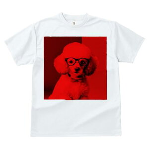 TVc Y LbY t@  t  vg JWA 킢 lԗp tBbglX _X ዾ v[h lN^C