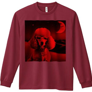 TVc lԗp Y Ht vg W[ AEghA JWA 킢 t@ Kl v[h n[g^y_g ԂF  