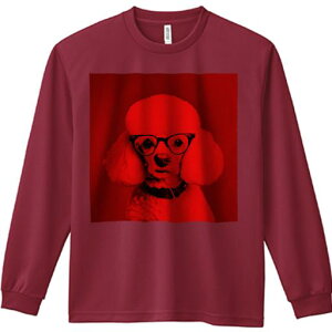 TVc lԗp Y Ht vg W[ AEghA JWA 킢 t@ Kl v[h  N[