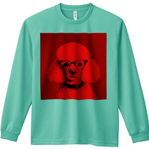 TVc lԗp Y Ht vg W[ AEghA JWA 킢 t@ Kl v[h  N[