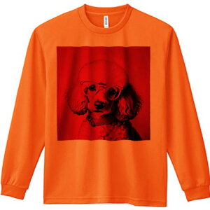 TVc lԗp Y Ht vg W[ AEghA JWA 킢 t@ Kl v[h  ԐF̔wi