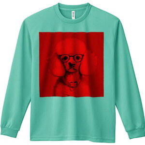 TVc lԗp Y Ht vg W[ AEghA JWA 킢 t@ Kl v[h  