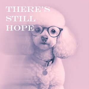 Kl v[h ꂽt NbVJo[ 45×45cm Aj}   NbV{̕t ` t@