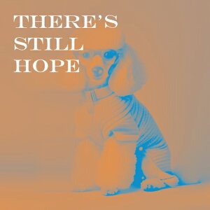 ዾ v[h Z[^[ NbVJo[ 45×45cm Aj}   NbV{̕t ` t@