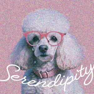 メガネ プードル ピンクの首輪 セレンディピティ クッションカバー 45×45cm アニマル柄 おしゃれ 可愛い クッション本体付き 正方形 犬ファン